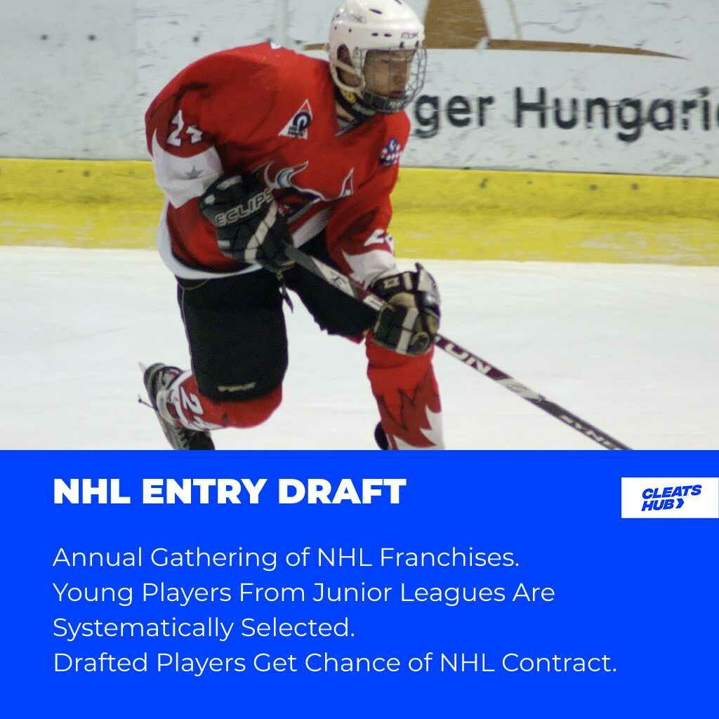 what is the NHL draft entry