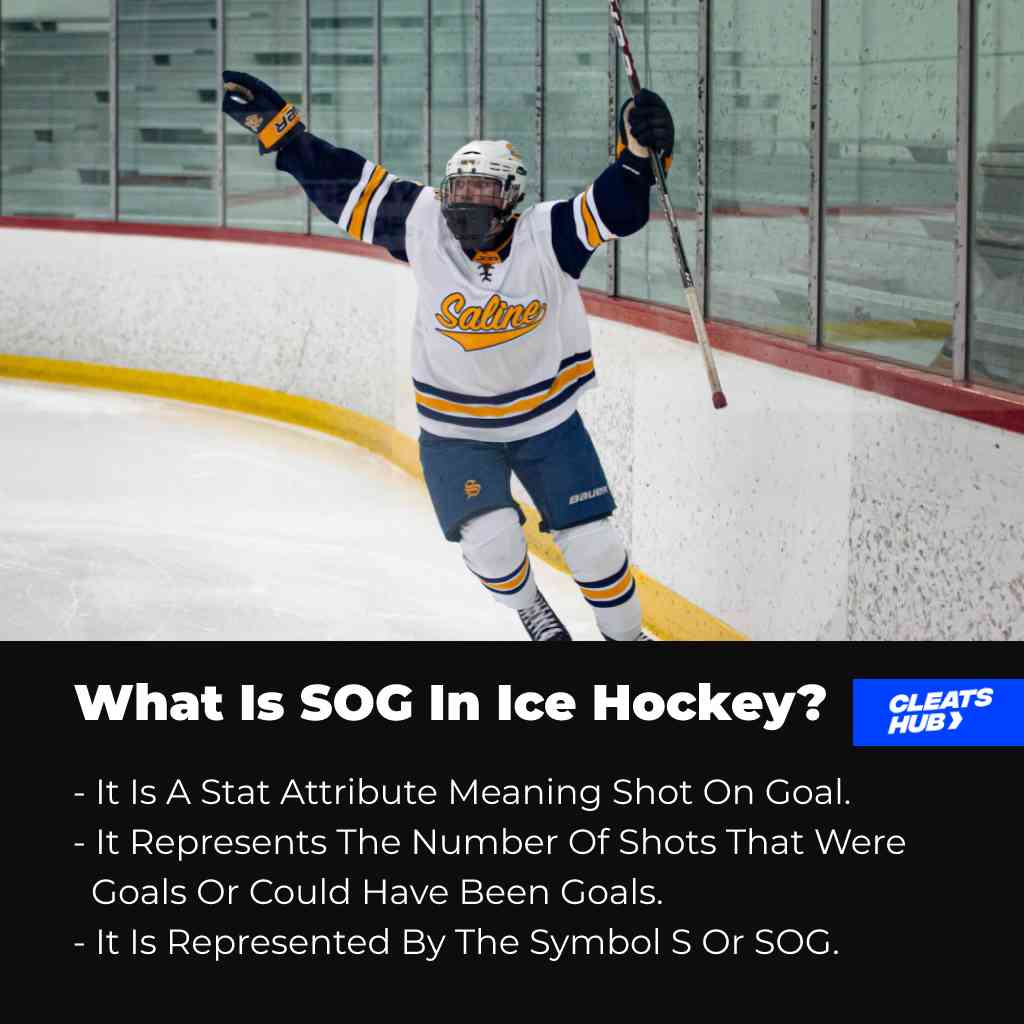 What Is SOG In Ice Hockey?