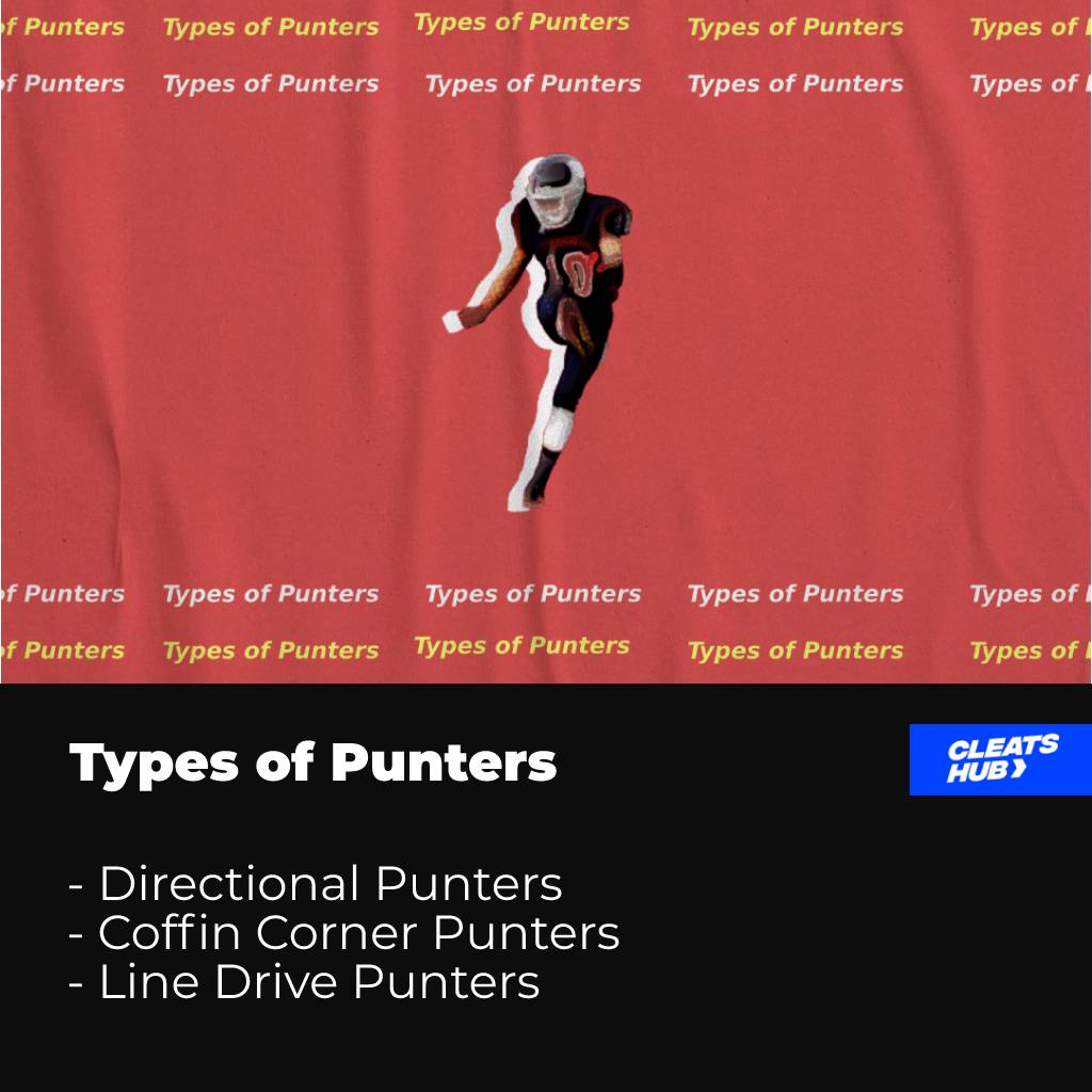 Types of Punters