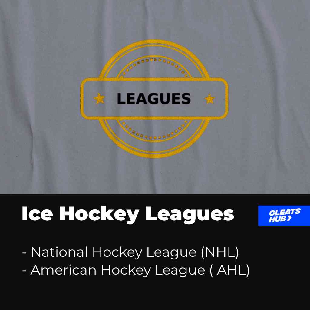 Types of ice hockey leagues